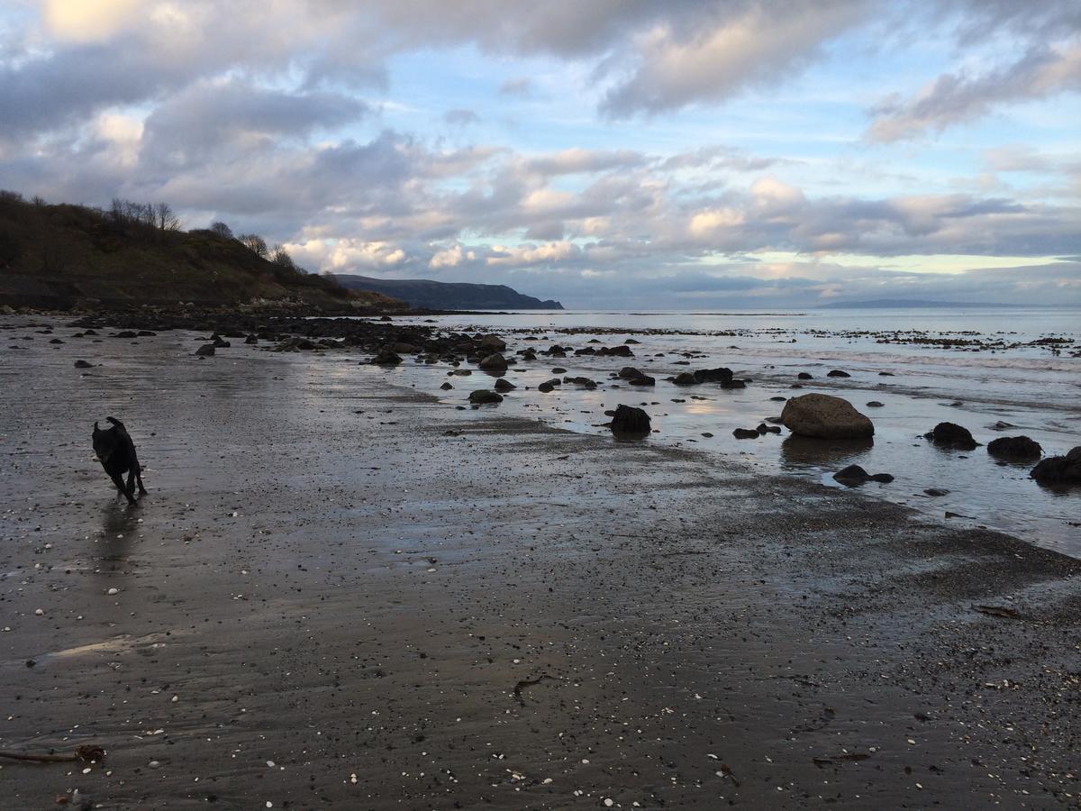Josies Place At Waters Edge Self Catering Apartment Glenarm Экстерьер фото
